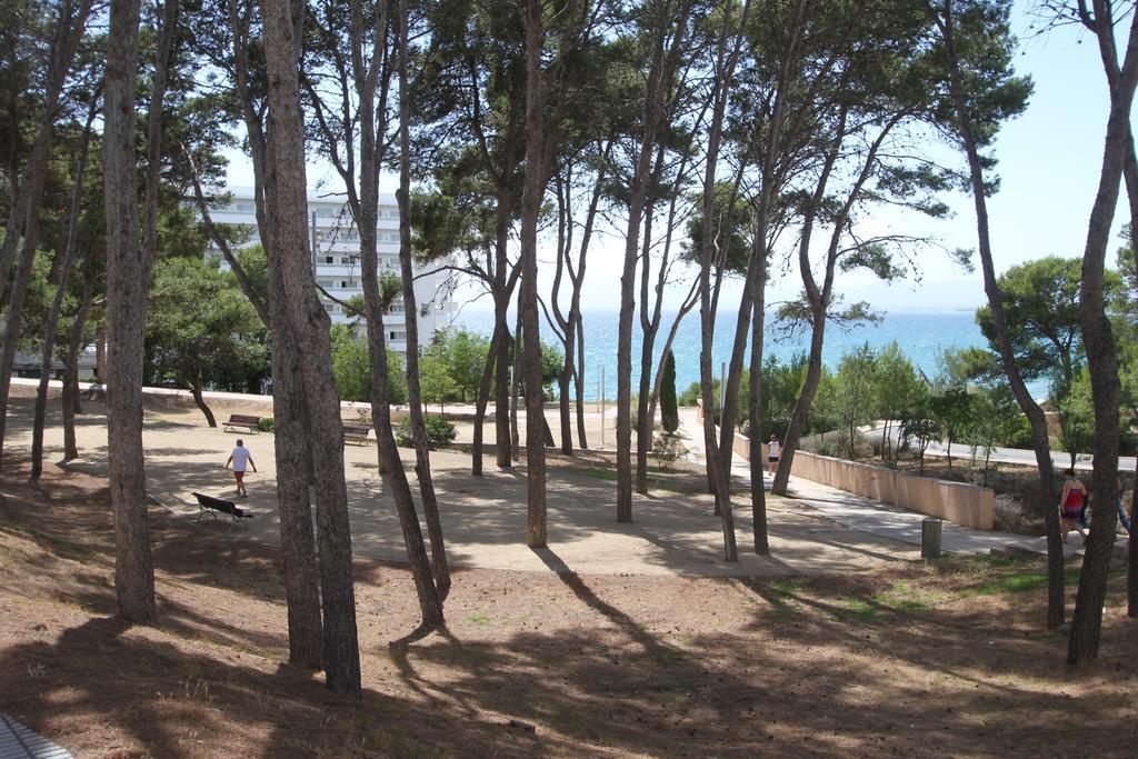 For A Cap D'or Apartamento
